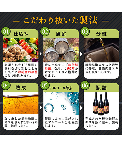 Enzyme106プラスGABA