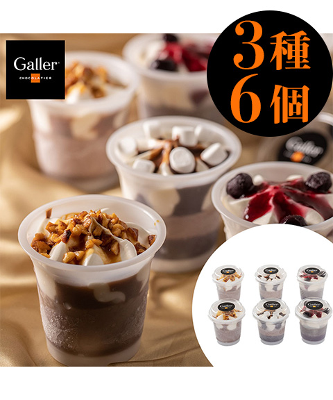 ガレー チョコレートアイスパルフェ 6個