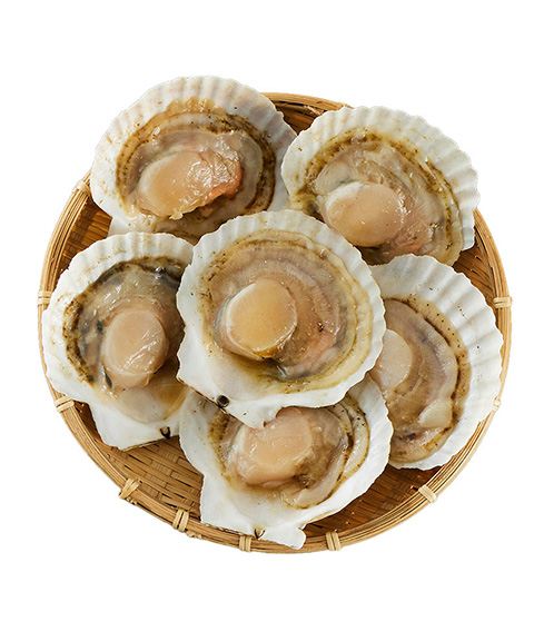 北海道産 帆立片貝 6枚