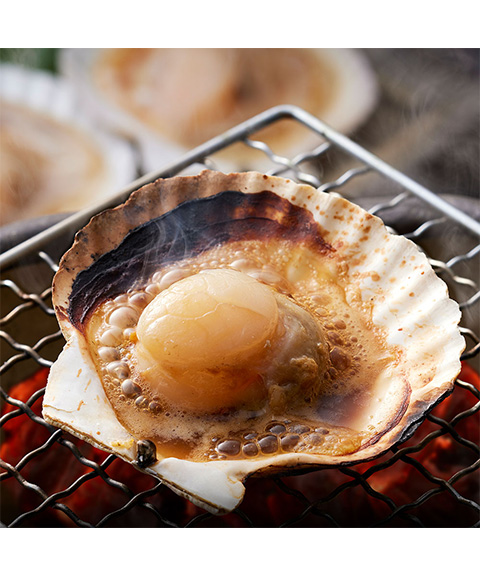 北海道産 帆立片貝 6枚