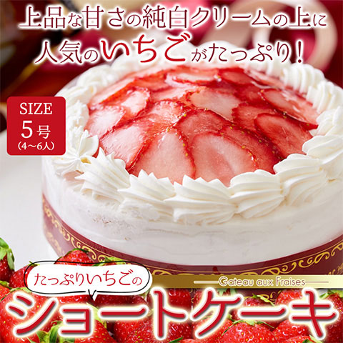 【送料無料】スイーツの王様！たっぷり生クリームといちごのショートケーキ いちごケーキ イチゴケーキ