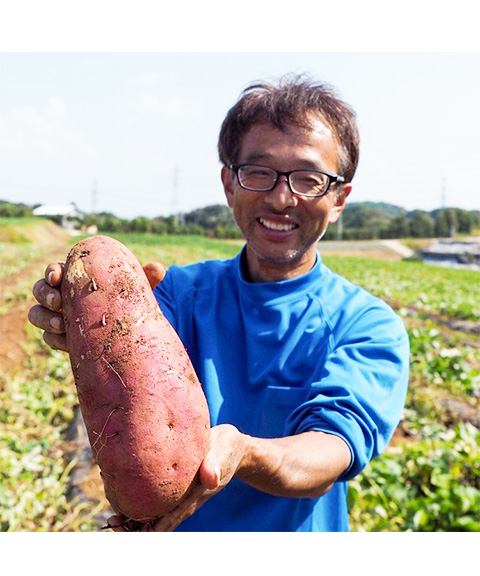 干し芋食べ比べセット