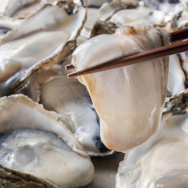国産無水円盤かき（生食用）