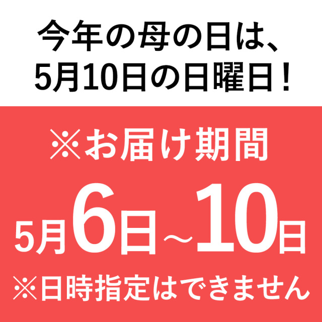 カーネーション鉢植え