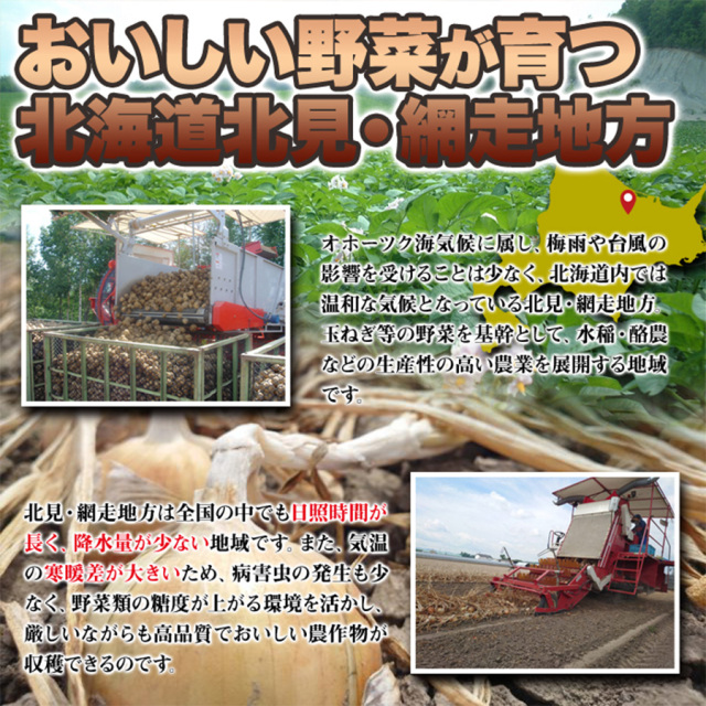 じゃがいも_玉ねぎ詰め合わせ