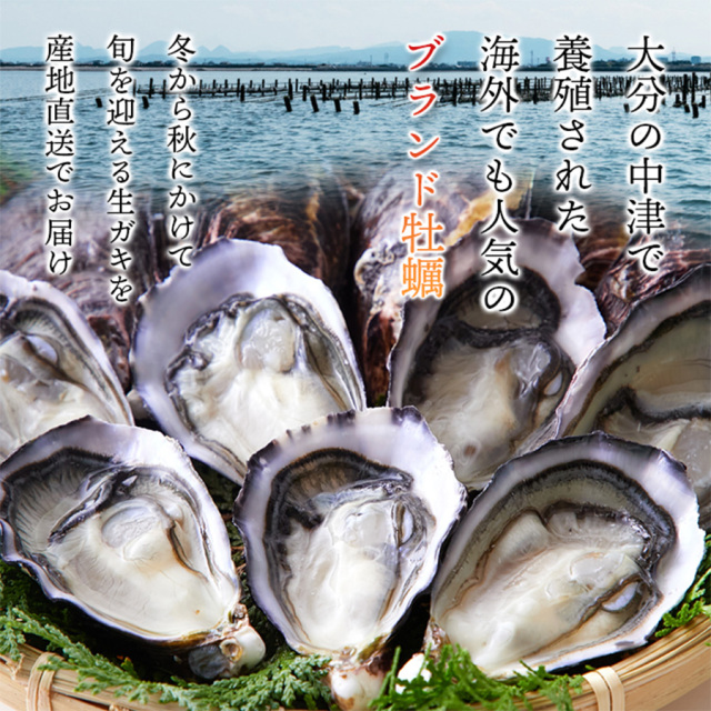 中津の殻付き生牡蠣