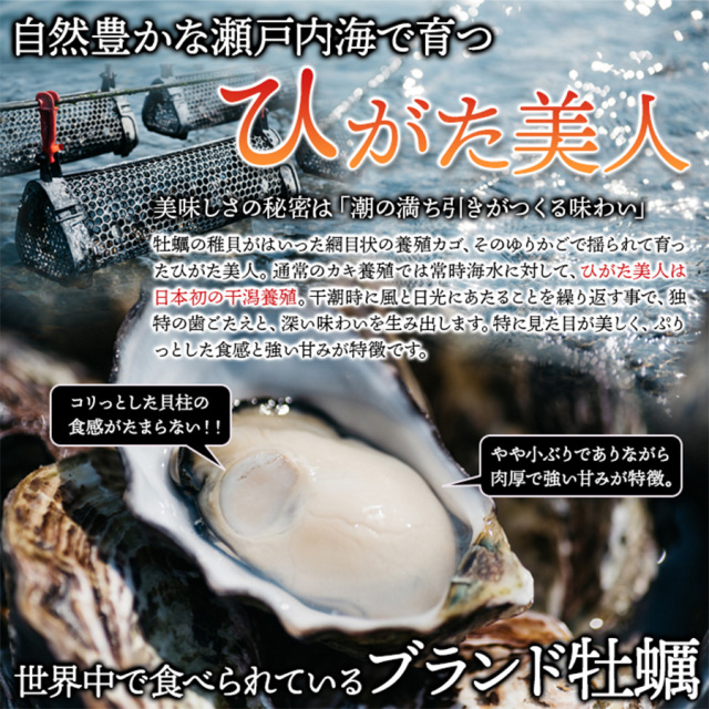 中津の殻付き生牡蠣