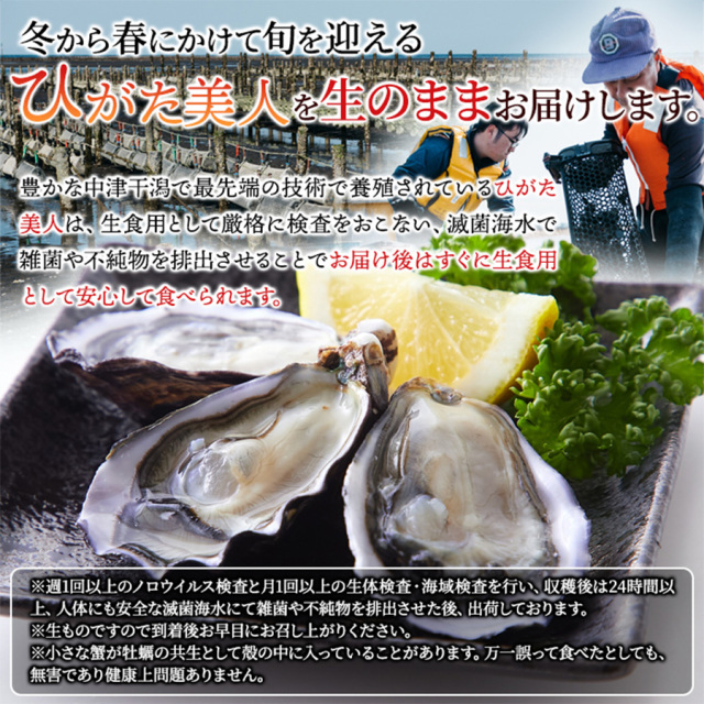 中津の殻付き生牡蠣