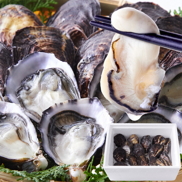 中津の殻付き生牡蠣