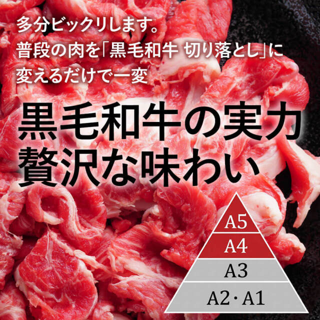博多和牛切り落とし