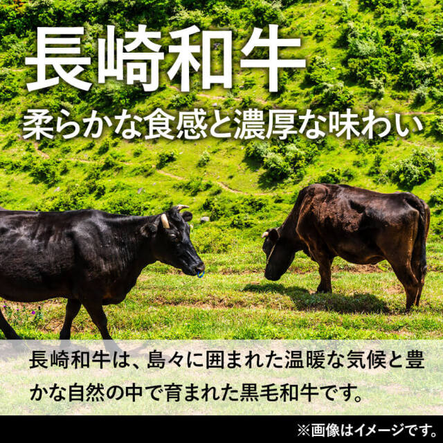 博多和牛切り落とし