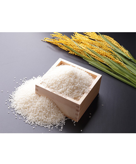 お米・パン・餅