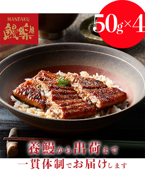 うなぎ蒲焼 切身 50g×4(200g)