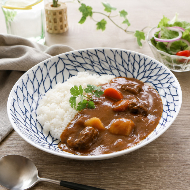 【送料無料】波佐見焼 カレー・パスタ皿 フルージュ 22.5cm 深皿 オーバル ボウル プレート 盛り鉢 花柄 ボタニカル 白磁
