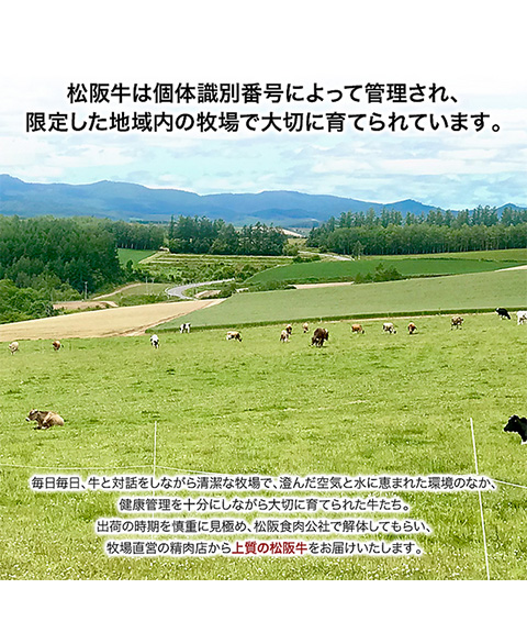 松阪牛サイコロステーキ