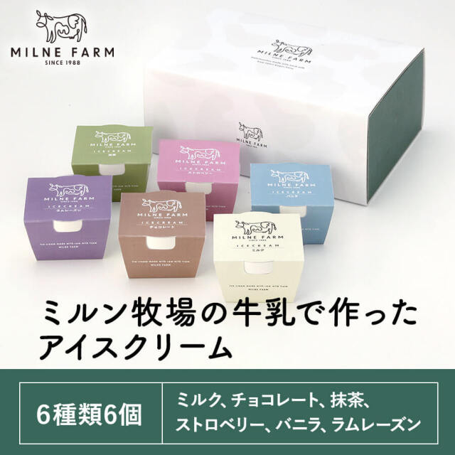 "アイスクリーム 90ml 6種類 6個セット （ミルク・バニラ・抹茶・チョコレート ・ストロベリー・ラムレーズン）"