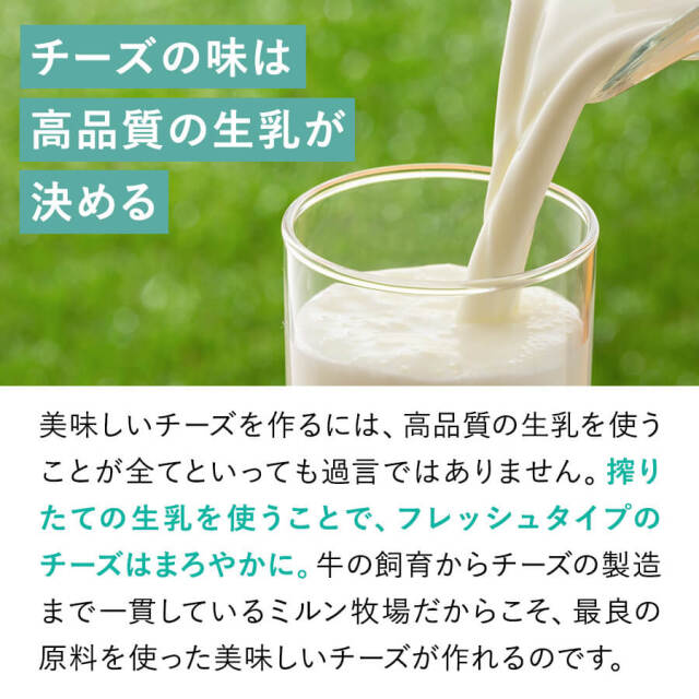 さいてたべるチーズ（フレッシュ）50g 6個セット