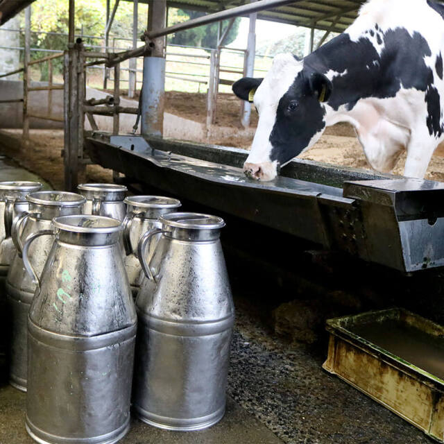 ミルン牧場のクリームライン牛乳