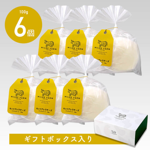 モッツァレラチーズ（フレッシュ）100g 6個セット