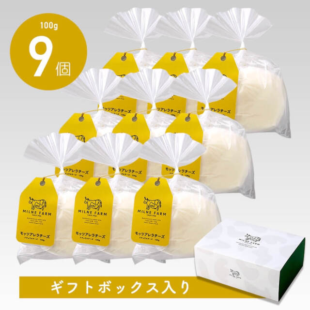 モッツァレラチーズ（フレッシュ）100g 9個セット