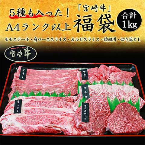 【送料無料】5種も入った！宮崎牛福袋[A4ランク以上5種1kg] 牛肉