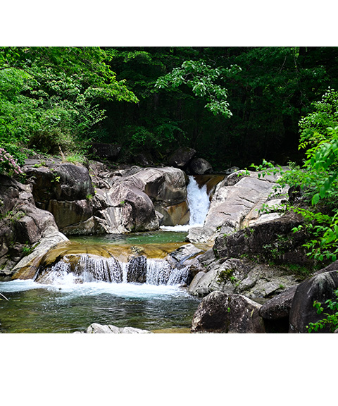 高賀の森水