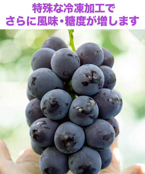 ナガノパープル