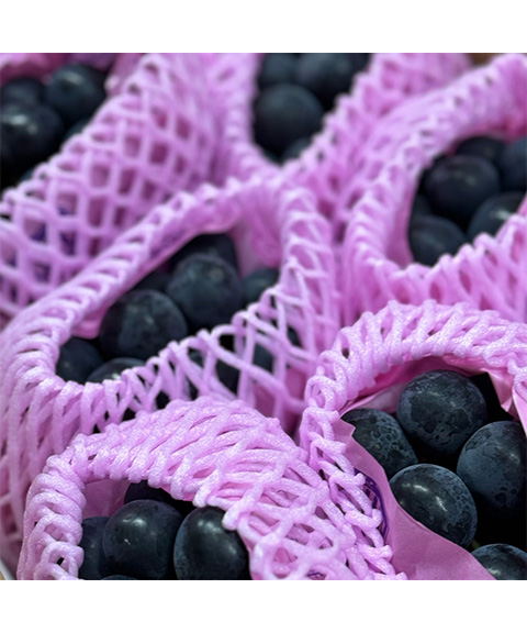 ナガノパープル
