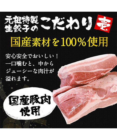餃子計画(大)
