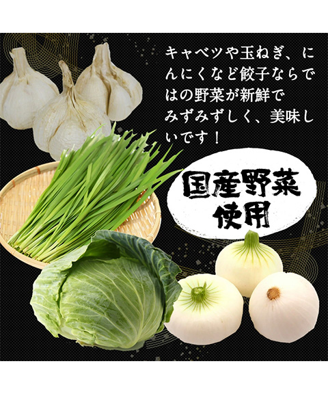 餃子計画(大)