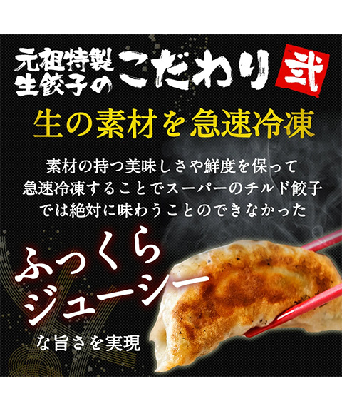 餃子計画(大)