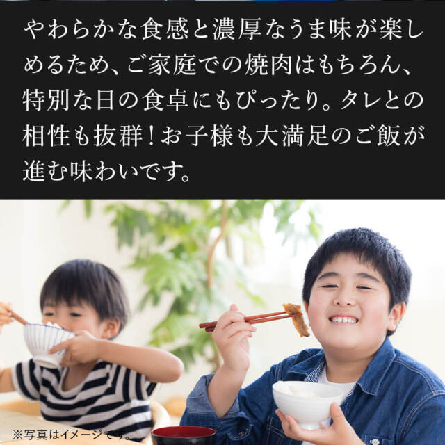 肉盛りEセット(焼肉用)　牛カルビ/牛赤身カルビ/豚バラ/豚サガリ/鶏モモ/手羽先