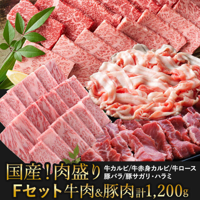 【送料無料】肉盛りFセット(焼肉用)　牛カルビ/牛赤身カルビ/牛ロース/豚バラ/豚サガリor豚ハラミ 牛肉 豚肉 焼き肉 バーベキュー お肉セット