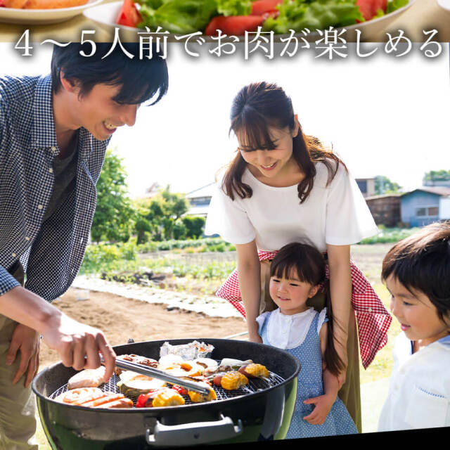 肉盛りFセット(焼肉用)　牛カルビ/牛赤身カルビ/牛ロース/豚バラ/豚サガリor豚ハラ