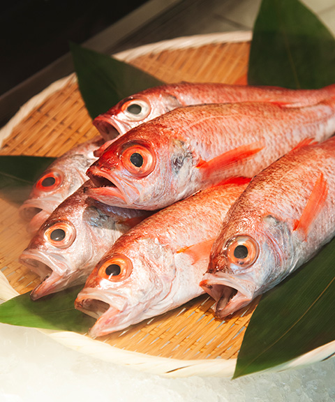 出雲 日本海 のどぐろ丼ネタセット