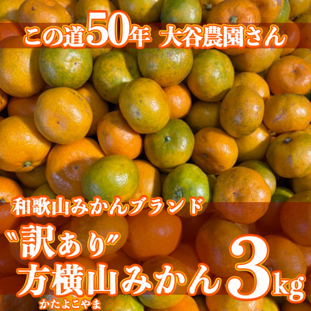 大谷農園訳ありみかん