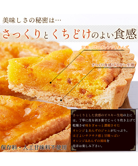 オレンジとあんずのタルトケーキ5号