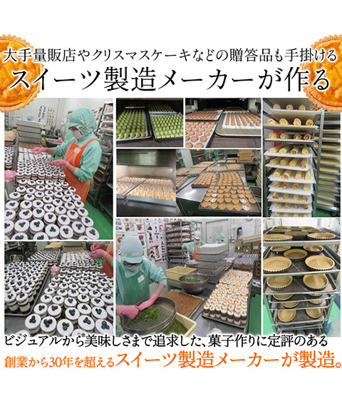 オレンジとあんずのタルトケーキ5号