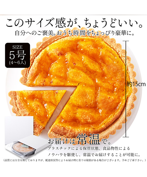 オレンジとあんずのタルトケーキ5号