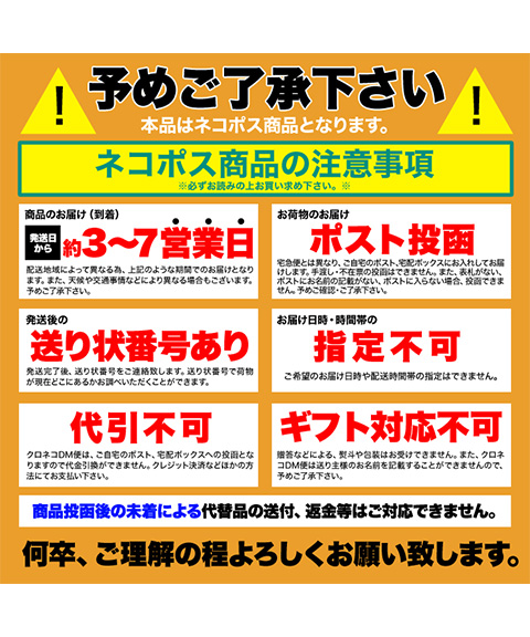 オレンジとあんずのタルトケーキ5号