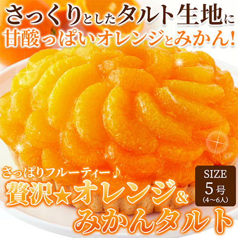 【送料無料】さっぱりフルーティー♪贅沢★オレンジ＆みかんタルト タルトケーキ
