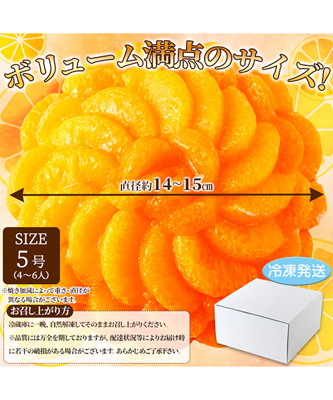 さっぱりフルーティー♪贅沢★オレンジ＆みかんタルト≪冷凍≫