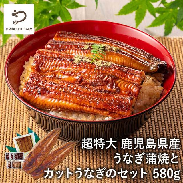 【送料無料】超特大 鹿児島県産うなぎ蒲焼とカットうなぎのセット 580g （長焼き 250g 2尾・カットうなぎ 80g×1パック)  鰻の長焼 切身 切り身 国産 ウナギ 鰻 冷凍 ※離島・海外は配送不可