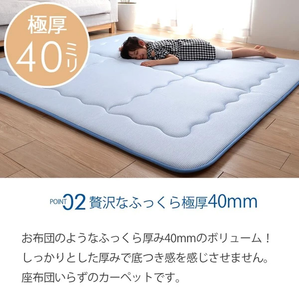 冷感 接触冷感 ひんやり カーペット ラグ 厚手 ボリューム 『冷感ランド』