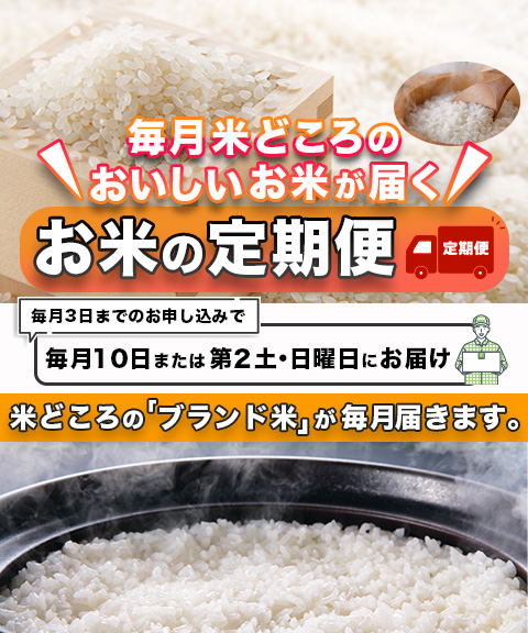 お米１０キロ 米 10kg 安い 白米 生活応援 お米 10キロ 送料無料 訳あり ブレンド米