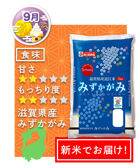 2024新米 滋賀県産みずかがみ 訪ねる