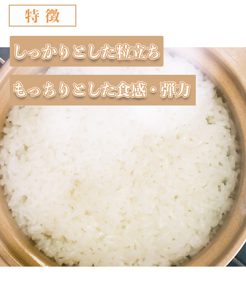 さがびより