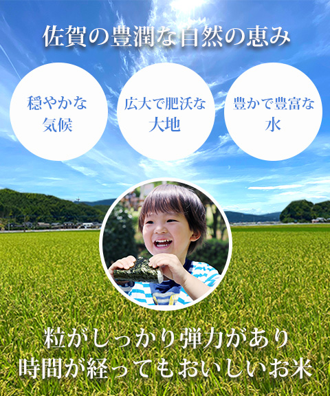 さがびより