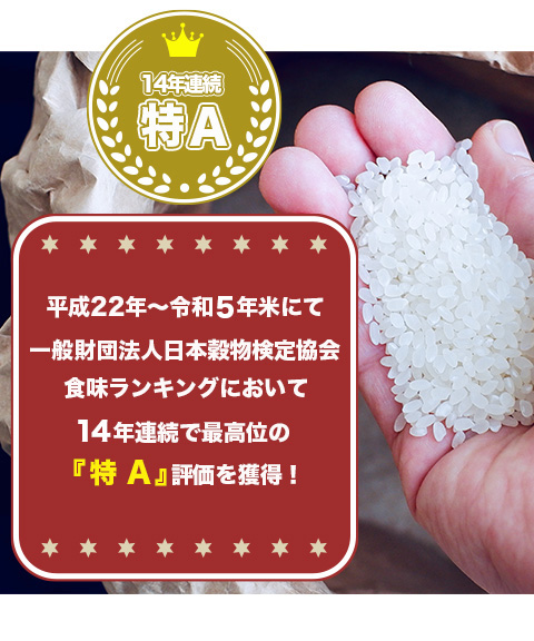 さがびより