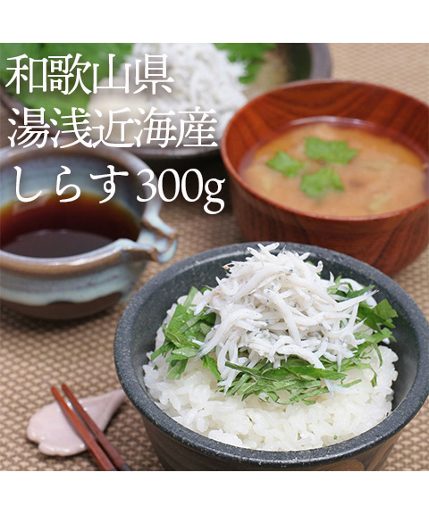 和歌山県産しらす